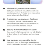 home brief google home