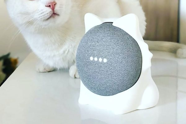 Gemini per Home: l’AI di Google ora riconosce gli animali domestici. Come funziona e perché è rivoluzionario Gemini per Home l'AI di Google ora riconosce gli animali domestici. Come funziona e perché è rivoluzionario