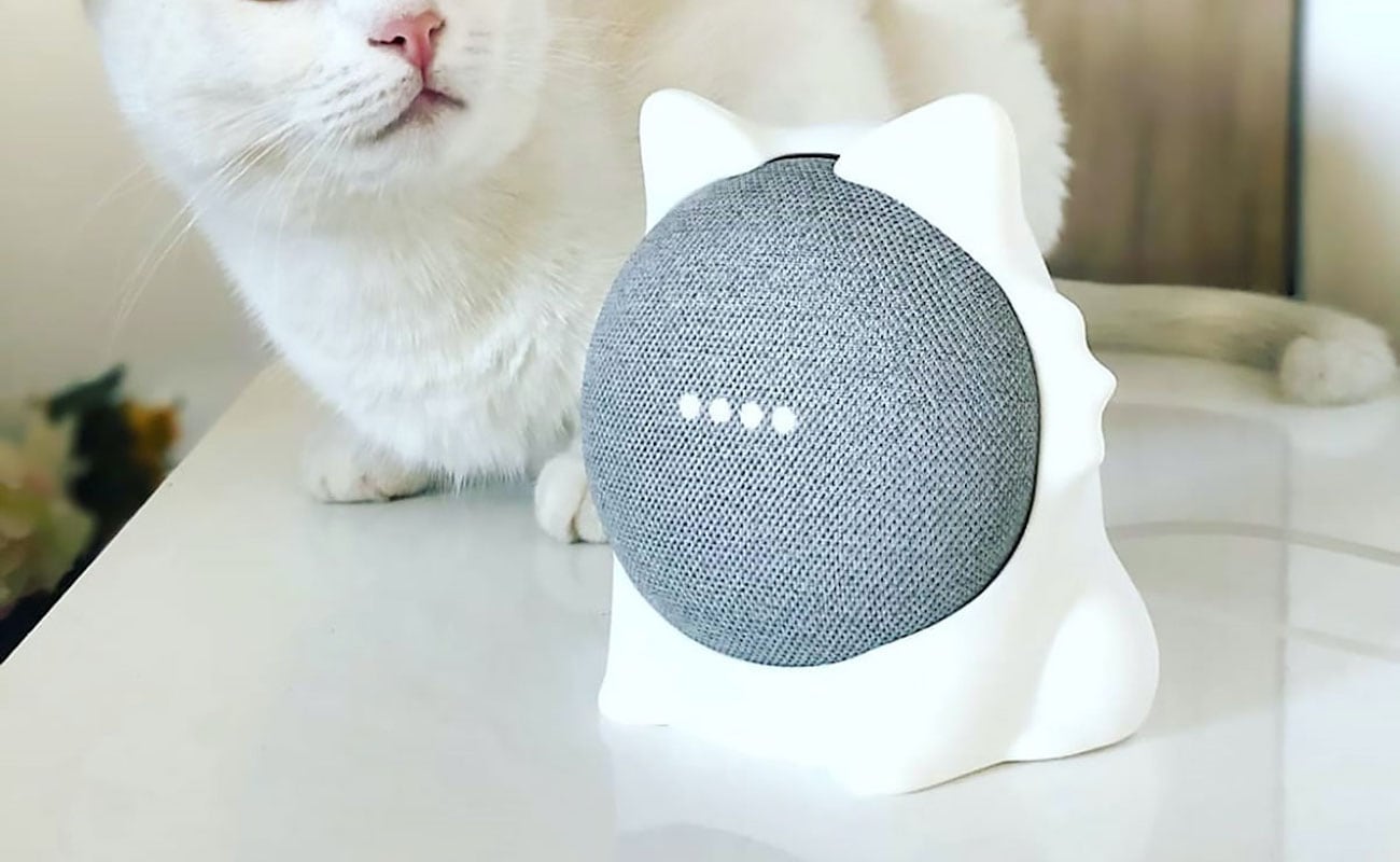 Gemini per Home l'AI di Google ora riconosce gli animali domestici. Come funziona e perché è rivoluzionario