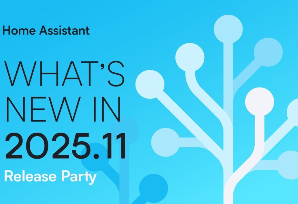 Home Assistant 20255.11