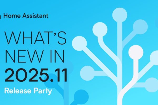 Home Assistant 20255.11