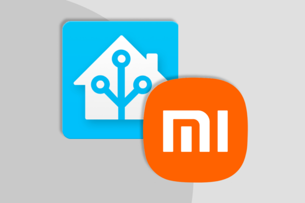 Xiaomi Miot Auto