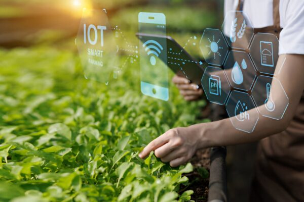 ALLUONE Watering Garden