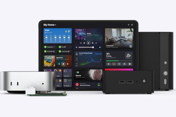 Homey Self Hoster Server